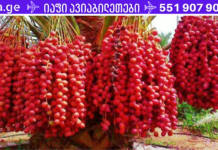 გარდა სიკვდილისა, ამ ხილს შეუძლია განკურნოს ყველაფერი! მიირთვით 5-7 ცალი ყოველდღე და დაივიწყებთ დაავადებებს!