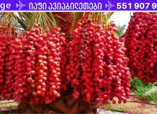 გარდა სიკვდილისა, ამ ხილს შეუძლია განკურნოს ყველაფერი! მიირთვით 5-7 ცალი ყოველდღე და დაივიწყებთ დაავადებებს!