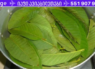 გამოიყენეთ გუავას ფოთლები ნაოჭების, აკნეს, მუქი ლაქების და კანის ალერგიული რეაქციების მოსაშორებლად!