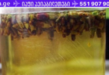 არყის კვირტების ნაყენი ბრონქიტის, თავის ტკივილის, შაკიკის . . დროს! მისი სასარგებლო თვისებები, გამოყენება, მკურნალობა და მისგან მომზადებული ნაყენის რეცეპტები