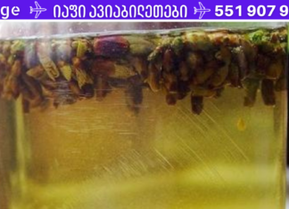 არყის კვირტების ნაყენი ბრონქიტის, თავის ტკივილის, შაკიკის . . დროს! მისი სასარგებლო თვისებები, გამოყენება, მკურნალობა და მისგან მომზადებული ნაყენის რეცეპტები