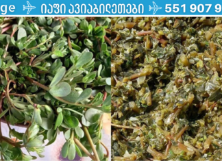 თუ ამ სარეველას თქვენს ეზოში შეამჩნევთ, გთხოვთ არ გაანადგურით იგი! აი ამიტომ!