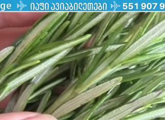 მეცნიერებმა აღმოაჩინეს ბალახი, რომელიც ებრძვის დემენციას და აძლიერებს მეხსიერებას 75%-ით