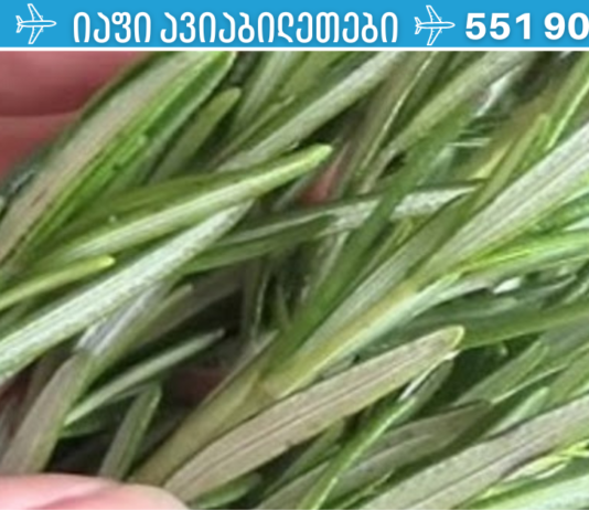 მეცნიერებმა აღმოაჩინეს ბალახი, რომელიც ებრძვის დემენციას და აძლიერებს მეხსიერებას 75%-ით