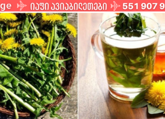 ბაბუაწვერას ფესვები 12 დაავადების წინააღმდეგ. მოამზადეთ საოცარი ნაყენი მარტივად