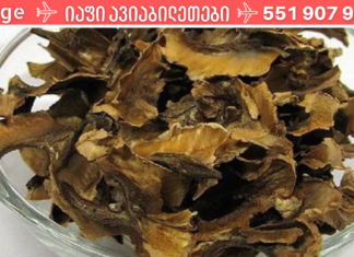 სად ვიყავი აქამდე, თურმე კაკლის უღელი ჩიყვის სამკურნალოდ N1 წამალი ყოფილა!