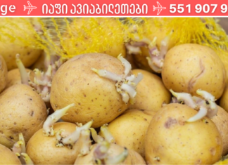 ნახეთ რა საოცრების მოხდენა შეუძლია კარტოფილის ყლორტებს