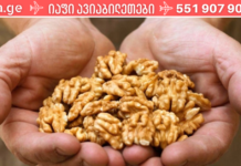 მიირთვით 7 ცალი ნიგოზი და დაელოდეთ შედეგს 4 საათი: აი რა დაგემართებათ!