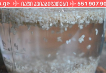 ტკბილეულისადმი მიდრეკილება სრულად გამიქრა! ეს თქვენც უნდა სცადოთ. .