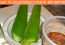 დღეში ორი ჩაის კოვზი ამ უძველესი საშუალებიდან და დაივიწყებთ გასტრიტს, წყლულს და შეკრულობას!