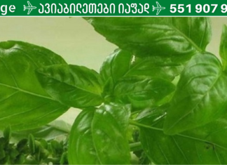 ღმერთმა თავადვე გვიბოძა ეს ბუნებრივი ანტიბიოტიკი! ესაა ყველაზე ძლიერი ანტიოქსიდანტი, რომელიც გაასუფთავებს თქვენს არტერიებს „ცუდი“ ქოლესტერინისგან!