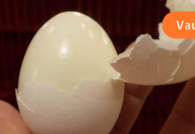 კვერცხი ნამდვილი საოცრებაა! დაიკელით წონაში სულ რაღაც 15 დღეში!