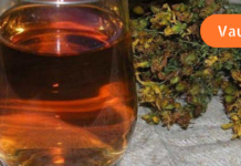 ძველი რეცეპტი დღეგრძელობისთვის, რომელიც ბერებმა შემოგვინახეს!