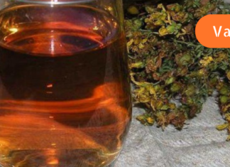 ძველი რეცეპტი დღეგრძელობისთვის, რომელიც ბერებმა შემოგვინახეს!