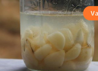 როგორ მოვამზადოთ ნივრის წყალი, რომელიც ეფექტურად წვავს ცხიმს!