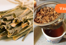 მე პირადად დიაბეტს ვმკურნალობ ვერხვის ქერქით. ამის შესახებ კი ჯერ კიდევ ბევრმა არც იცის!