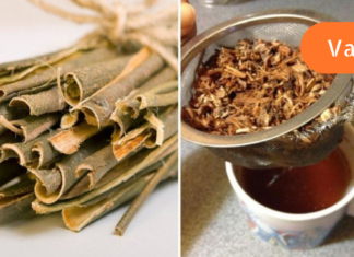 მე პირადად დიაბეტს ვმკურნალობ ვერხვის ქერქით. ამის შესახებ კი ჯერ კიდევ ბევრმა არც იცის!