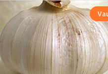 15 პროდუქტი, რომელიც არ უნდა შეინახოთ მაცივარში!