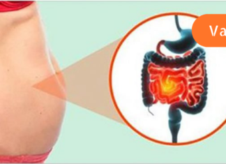 როგორ გავაუმჯობესოთ თქვენი ნაწლავის ბაქტერიები და დავიწყოთ წონის კლება!