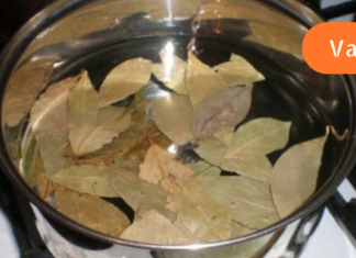 ეს მცენარე ღმერთის კურთხევაა: გვეხმარება უძილობის, მაღალი წნევის და სისხლში შაქრის წინააღმდეგ ბრძოლაში