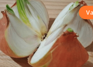 ხახვი დავჭრათ 4 ნაწილად და განვათავსოთ სახლში. მიზეზი? ეს გასაოცარია!