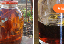 კულმუხოს ნაყენი უებარი წამალია მეტეომგრძნობელობის სამკურნალოდ — ეხმარება სისხლძარღვებს გახდეს უფრო ელასტიკური და სწრაფად მოახდინოს რეაგირება ამინდის ცვლილებაზე!