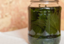 “წლების განმავლობაში ძალიან მაწუხებდა სახსრების ტკივილი, თუმცა ბოლო პერიოდში ეს პრობლემა ჭინჭრის ნაყენმა მომიხსნა! ამიტომაც ყველა ჩემს მეზობელს გავაცანი ეს რეცეპტი. .