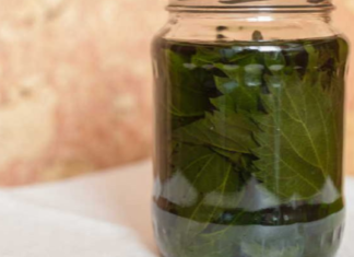 “წლების განმავლობაში ძალიან მაწუხებდა სახსრების ტკივილი, თუმცა ბოლო პერიოდში ეს პრობლემა ჭინჭრის ნაყენმა მომიხსნა! ამიტომაც ყველა ჩემს მეზობელს გავაცანი ეს რეცეპტი. .