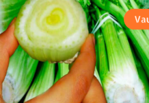 ინფორმაცია რასაც არავინ გეუბნებათ ნიახურის შესახებ და რა ემართება თქვენს ორგანიზმს მაშინ, როცა მას საკვებ რაციონში ამატებთ!