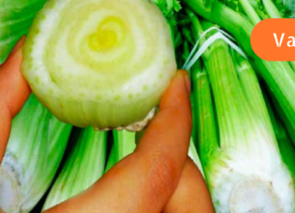 ინფორმაცია რასაც არავინ გეუბნებათ ნიახურის შესახებ და რა ემართება თქვენს ორგანიზმს მაშინ, როცა მას საკვებ რაციონში ამატებთ!