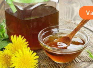 ბაბუაწვერა მართლაც რომ ყველაზე მრავალფუნქციური წამალია! უკეთ გაიგეთ როგორ შეიძლება მისი გამოყენება იმუნიტეტის გასაძლიერებლად. .