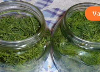 პანკრეატიტის სამკურნალო მცენარეული რეცეპტი, რომელიც ხალხური რეცეპტების წიგნიდანაა ამოღებული! სცადეთ იქნებ თქვენც გიშველოთ