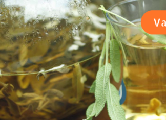 “გიზიარებთ დიდი ბებიის რეცეპტს, რომლის მიხედვითაც მომზადებული ნაყენი აძლიერებს იმუნიტეტს, დადებითად მოქმედებს სისხლძარღვებსა და ნერვებზე, არეგულირებს ნაწლავების მუშაობასაც”