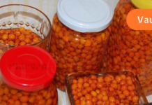 ქაცვის ზეთით მოვირჩინე კუჭის წყლული და მას შემდეგ დაავადებას თავი აღარ შეუხსენებია!