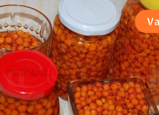 ქაცვის ზეთით მოვირჩინე კუჭის წყლული და მას შემდეგ დაავადებას თავი აღარ შეუხსენებია!