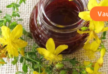 თუ ხელ-ფეხი გიჯუჟდებათ გაეცანით ხალხურ ტრადიციულ საშუალებას, რომელიც პრობლემას მარტივად გადაგიჭრით!