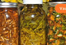 40 წლის ვარ და ბაბუაწვერას ფესვებმა სრულიად განკურნა ჩემი დაავადება! ის მართლაც რომ ხალხური მედიცინის აღმოჩენაა