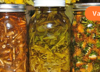 40 წლის ვარ და ბაბუაწვერას ფესვებმა სრულიად განკურნა ჩემი დაავადება! ის მართლაც რომ ხალხური მედიცინის აღმოჩენაა