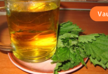 გლაუკომის საწყის სტადიაზე შეიძლება მხედველობის გაუარესებასთან ბრძოლა, ამისთვის კი ჭინჭრისა და შროშანის ნაყენი უნდა გამოიყენოთ..