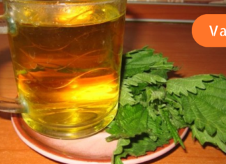 გლაუკომის საწყის სტადიაზე შეიძლება მხედველობის გაუარესებასთან ბრძოლა, ამისთვის კი ჭინჭრისა და შროშანის ნაყენი უნდა გამოიყენოთ..