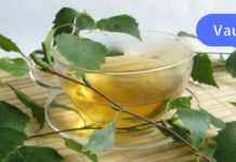 “ექიმმა დამისვა მენჯ-ბარძაყის სახსრის ანთების დიაგნოზი, ხოლო მდგომარეობა საგრძნობლად მხოლოდ მას შემდეგ გამიუმჯობესდა, რაც არყის ფოთლებით დავიწყე მკურნალობა”, თქვენც გირჩევდით!