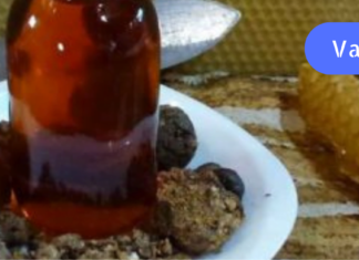 მჭირდა ფილტვების ტუბერკულოზი,ხოლო როდესაც მედიკამენტებმა ვერ მიშველა დინდგელით მკურნალობა გადავწყვიტე! ჩათვალეთ ახალად დავიბადე