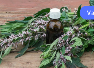 ვალერიანის და შავბალახას ნაყენი მართლაც გასაოცარ შედეგებს იძლევა ჯანმრთელობისთვის!! აუცილებლად სცადეთ თქვენც