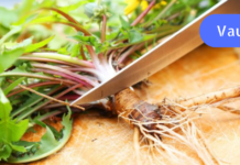 ბაბუაწვერას წვენი ამაგრებს სისხლძარღვების კედლებს, ხოლო განსაკუთრებით კარგად მოქმედებს თავის ტვინის სისხლძარღვებზე. . უბრალოდ სცადეთ !!