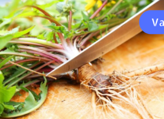 ბაბუაწვერას წვენი ამაგრებს სისხლძარღვების კედლებს, ხოლო განსაკუთრებით კარგად მოქმედებს თავის ტვინის სისხლძარღვებზე. . უბრალოდ სცადეთ !!