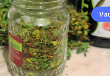 თუ გაწუხებთ სიმძიმის შეგრძნება ღვიძლის არეში, ტკივილი ნაღვლის ბუშტში და შებერილობა ნაწლავებში – უნდა იცოდეთ, რომ მცენარე კრაზანა ყოფილა კუჭ-ნაწლავის უებარი წამალი!!