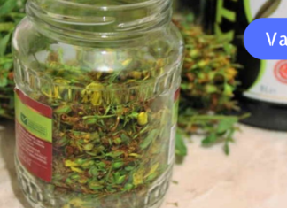 თუ გაწუხებთ სიმძიმის შეგრძნება ღვიძლის არეში, ტკივილი ნაღვლის ბუშტში და  შებერილობა ნაწლავებში – უნდა იცოდეთ, რომ მცენარე კრაზანა ყოფილა კუჭ-ნაწლავის უებარი წამალი!!