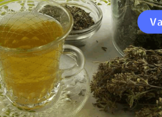 ასთმიანებისთვის თავშავას ჩაი ყოფილა ძალიან სასარგებლო! თქვენც სცადეთ