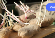 ოპერაცია აღარაა საჭირო! მინდა გასწავლოთ გლაუკომისა და კატარაქტის სამკურნალო ძალიან მარტივი საშუალება