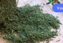 უწინ ეს ბალახი მხოლოდ სარეველა მეგონა. არადა თურმე ჭრილობებს ახორცებს და სისხლდენას აჩერებს!